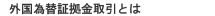 外国為替証拠金取引